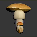 Vibrant Mushroom Collection with Diverse Shapes and Colorful Caps on Dark Background