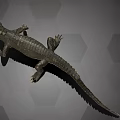 Detailed Aquatic Animal Crocodile With Scaly Texture On Hexagonal Background
