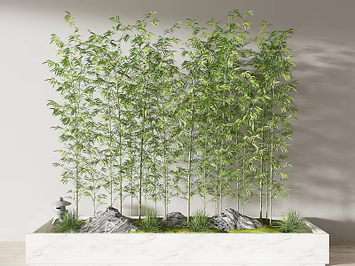 Potted Bamboo Plants In White Rectangular Pot With Stones And Grass Against Light Wall 3d model