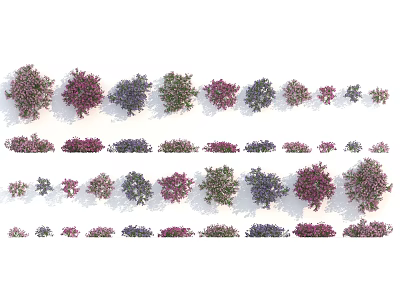 Flowers And Plants Various Types With Different Colors Arranged For Decorative 3d model