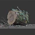 Natural Tree Stump Decor With Ivy Leaves Fallen Twigs And Wood Texture