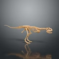 Detailed Dinosaur Skeleton Standing On Gray Gradient Background With Reflection Below