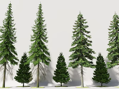 Diverse Coniferous Trees for Landscape Design with Various Heights and Green Foliage 3d model
