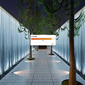 Walkway Lined with Waterfall Walls and Pine Trees Under Soft Lighting