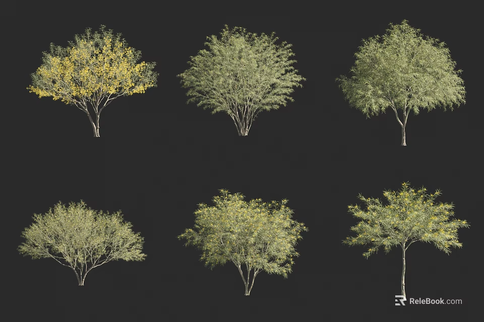 Various Arbor Trees With Green And Yellow Foliage And Diverse Canopy Forms 3d model