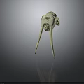 Detailed White Animal Skull With Long Curved Ivory Tusks On Dark Reflective Background