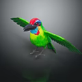 Colorful Tropical Bird With Green Wings Red Head Blue Neck Spreading Wings On Shiny Surface