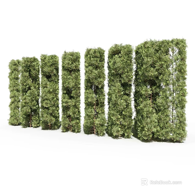 Lush Green Shrubs Arranged In Neat Rows With Various Heights For Landscape Design 3d model 