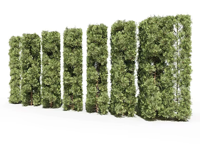 Lush Green Shrubs Arranged In Neat Rows With Various Heights For Landscape Design 3d model