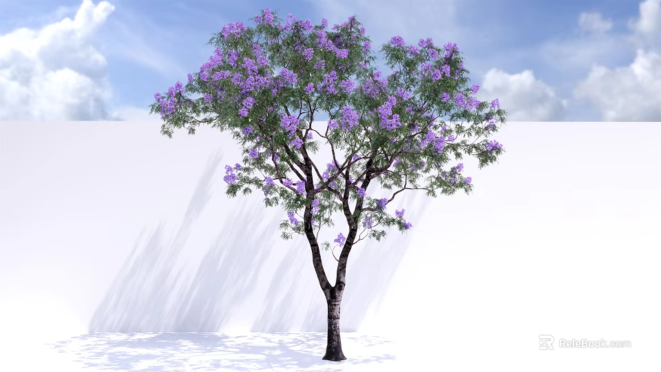 Purple Flowering Arbor Tree with Dark Trunk Blue Sky White Clouds and White Wall Shadows 3d model 