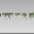 Lush Green Hanging Vines Arranged in Row for Decorative 3d model