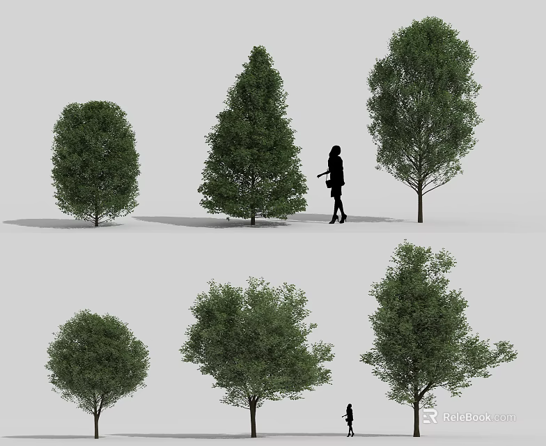 Various Arbor Trees In Different Shapes With People Walking And Shadows 3d model