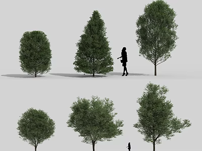Various Arbor Trees In Different Shapes With People Walking And Shadows 3d model