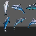 Eight Blue And Gray Dolphins In Various Poses Against Gray Background