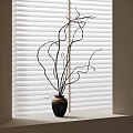 Ceramic Vase With Curved Branches On Window Sill Against White Blinds 3d model