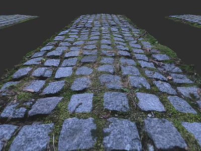 Square Paving Design With Neatly Arranged Stone Slabs And Mossy Gaps 3d model