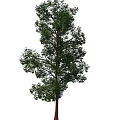 green tree 3d model