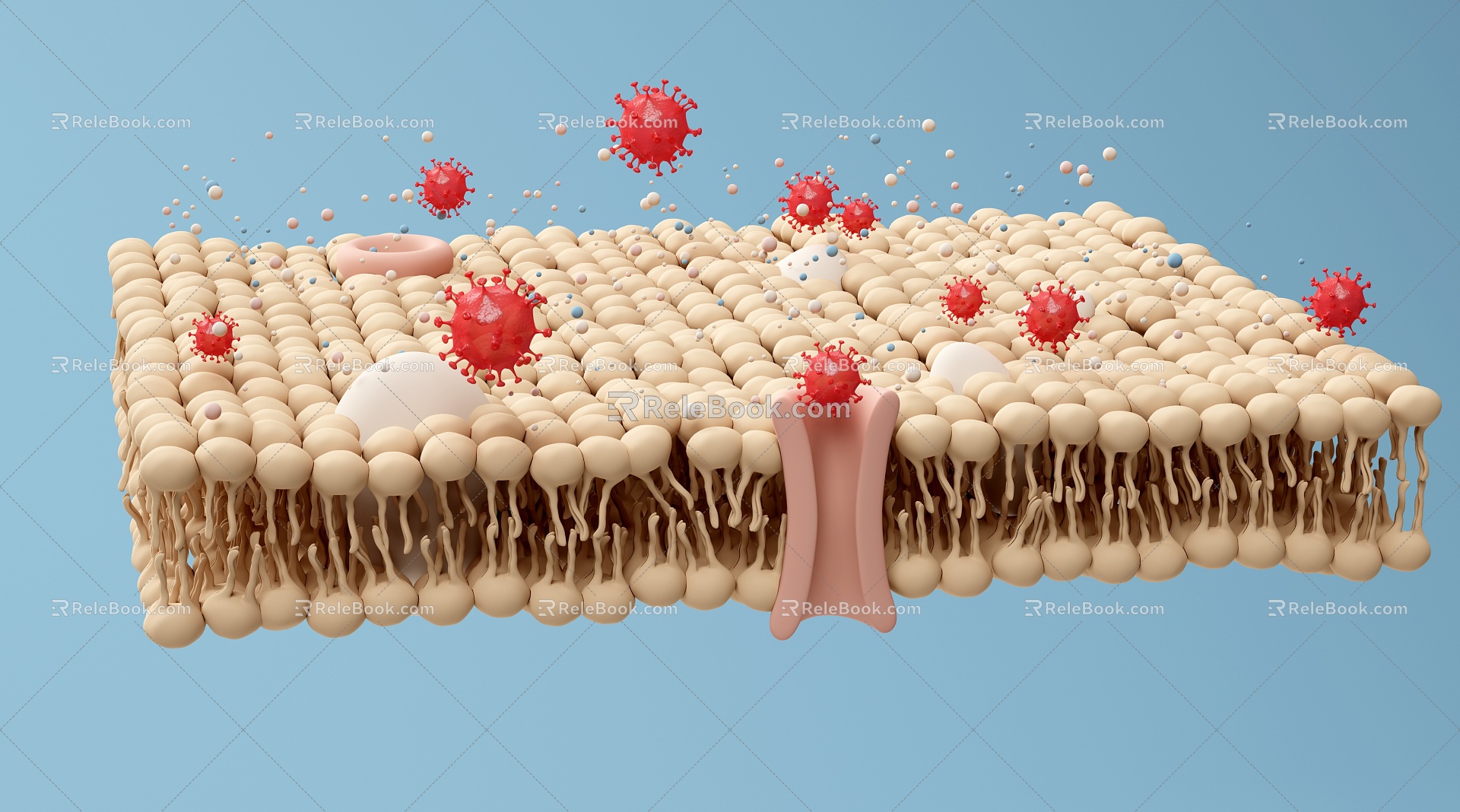 Modern fat fat protein bacteria 3d model