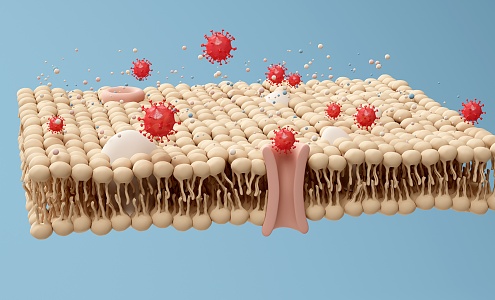 Modern fat protein bacteria 3d model