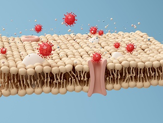 Modern fat protein bacteria 3d model