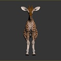 Giraffe Low Model Giraffe African Animal Toy Giraffe Muppet Toy Animal Cartoon Giraffe 3d model