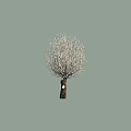 Tall Arbor Tree With Brown Trunk And White Blooming Branches 3d model