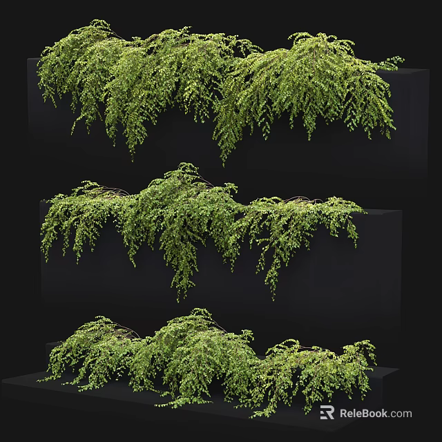Green Decorative Vines In Various Hanging Forms For Interior Design 3d model 