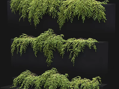 Green Decorative Vines In Various Hanging Forms For Interior Design 3d model