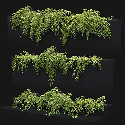 Green Decorative Vines In Various Hanging Forms For Interior Design 3d model