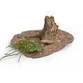 Modern Natural Scene With Tree Stump Green Plants And Moss Covered Ground