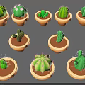 Decorative Potted Cactus Plants In Various Shapes With Brown Ceramic Pots
