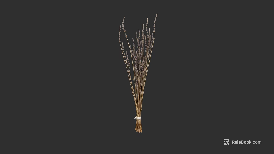 Natural Dried Lavender Bunch Tied With White String For Home Decor 3d model