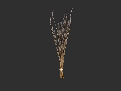 Natural Dried Lavender Bunch Tied With White String For Home Decor 3d model