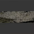 Natural Wood Stone With Green Moss Covered Surface And Rough Texture