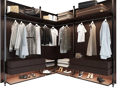 Modern Dark Wood Wardrobe Interior With Hanging Clothes Drawers And Shoe Storage 3d model