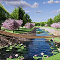 Scenic Waterside Landscape With Water Lilies Cherry Blossom Trees Stone Bridge And Natural Green Surroundings