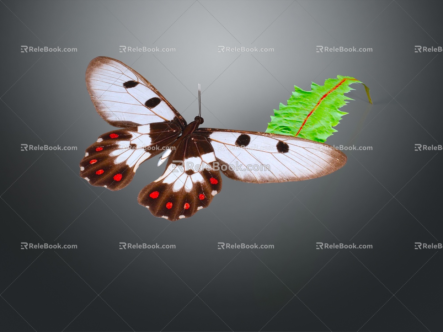 Modern Butterfly Colored Butterfly 3d model