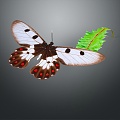 Modern Butterfly Colored Butterfly 3d model