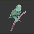 Snowy Owl With White And Brown Feathers Perched On Tree Branch Against Dark Background