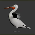 White Pelican with Spread Wings and Crested Head Standing On Smooth Surface Gray Gradient Background 3d model