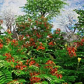 Vibrant Blooming Flowers And Lush Green Plants In Natural Garden Setting With Fresh Foliage