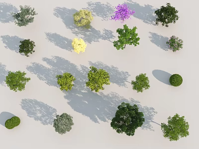 Various Colorful Plant Species Displayed With Green Yellow Purple Hues In Arranged Collection 3d model