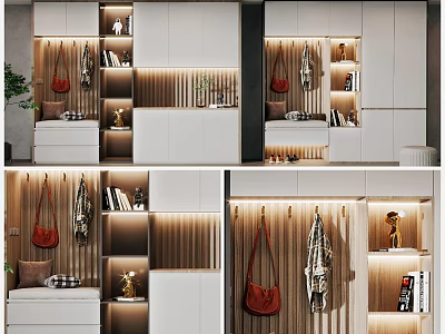 Modern Elegant Shoe Cabinet With Clothing Hangers Open Shelves And Lighting Design 3d model
