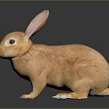 Detailed Tan Rabbit Figurine Standing With Large Ears On Dark Background