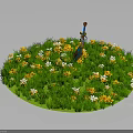 Green Grass Field With Yellow And White Small Flowers Blooming Brightly