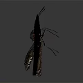 Black Butterfly With White Spotted Wings And Red Accents Against Dark Background With Reflective Surface