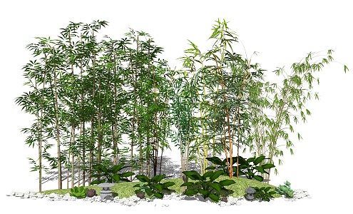 Modern plant landscape sketch bamboo 3d model