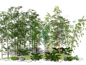 Modern plant landscape sketch bamboo 3d model