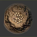 Reptile Parent Guarding Eggs in Natural Brown Earth Nest with Round Shells