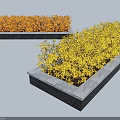 Vibrant Yellow and Orange Shrubs Planted in Rectangular Stone Planters with Light Background Shadow 3d model